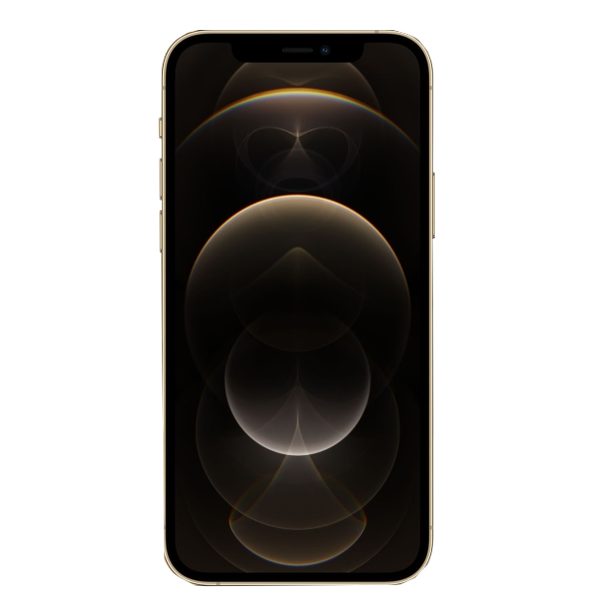 Apple iPhone 12 Pro Max 128Gb Gold (Золотой) (A2342)