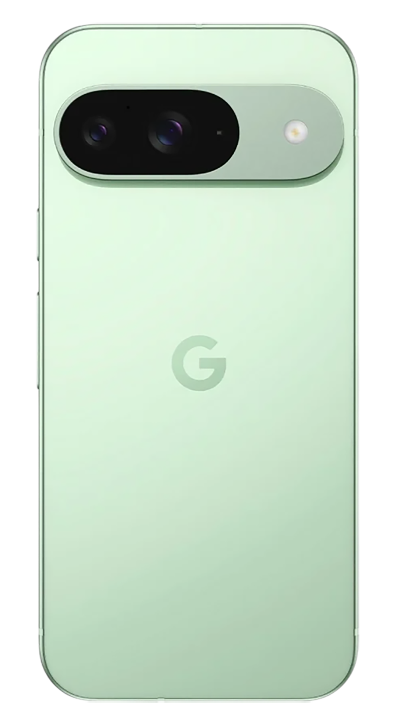 Google Pixel 9 12/128Gb Wintergreen (JP) Sim+eSim фото 3