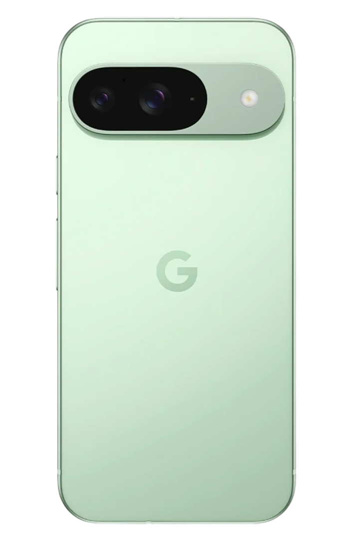 Google Pixel 9 12/128Gb Wintergreen (JP) Sim+eSim фото 3