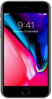 Apple iPhone 8 128Gb Space Grey (Серый космос) (A1863)