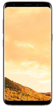 Samsung Galaxy S8 64Gb SM-G950FD Dual Maple Gold