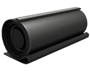 

Портативная акустика GZ Electronics LoftSound GZ-22 черная