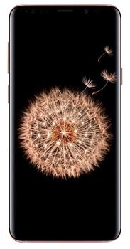 

Samsung Galaxy S9+ 64 Gb