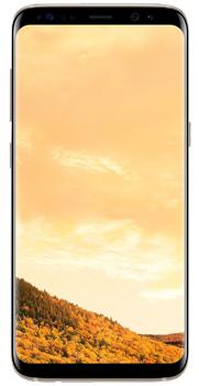 

Samsung Galaxy S8 SM-G950FD Dual 64 Gb
