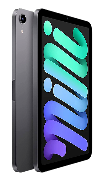Планшет Apple iPad mini (2021) 64Gb Wi-Fi Space Gray (Серый космос) (Global)