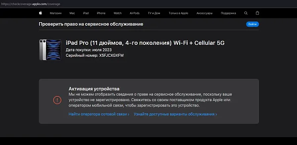 Apple iPad Pro 11 (2022) 256Gb Wi-Fi + Cellular Space Grey (Космический серый) (Global)