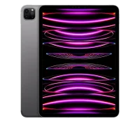Apple iPad Pro 11 (2022) 256Gb Wi-Fi + Cellular Space Grey (Космический серый) (Global)