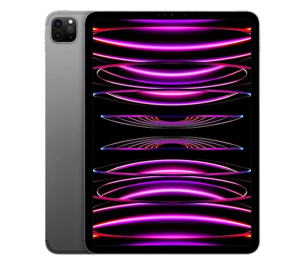 Apple iPad Pro 11 (2022) 256Gb Wi-Fi + Cellular Space Grey (Космический серый) (Global)