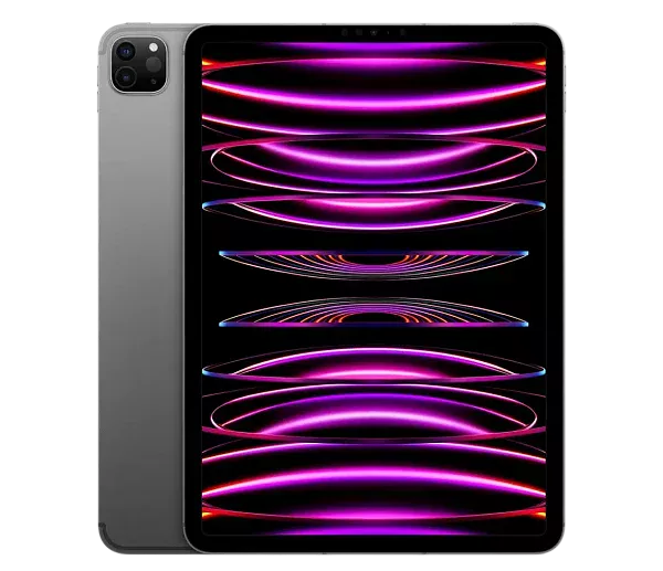 Apple iPad Pro 11 (2022) 256Gb Wi-Fi + Cellular Space Grey (Космический серый) (Global)