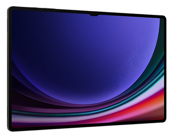Samsung Galaxy Tab S9 Ultra (2023) 12/256Gb Wi-Fi Graphite (Графит)
