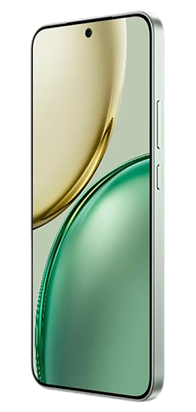 Honor X9d 12/256Gb Forest Green (Global) Dual nano Sim