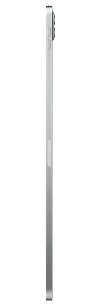 Apple iPad Pro 11 (2022) 256Gb Wi-Fi + Cellular Silver (Серебристый) (Global)