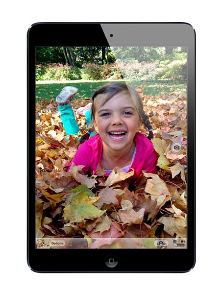 iPad mini 32Gb Wi-Fi Black