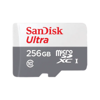 Карта памяти MicroSD 256Gb SanDisk, Ultra, Class10 UHS-I U1, R/W 100MB/s, без адаптера Карта памяти MicroSD 256Gb SanDisk, Ultra, Class10 UHS-I U1, R/W 100MB/s, без адаптера