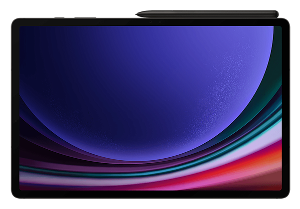Samsung Galaxy Tab S9+ (2023) 12/256Gb LTE Graphite (Графит)