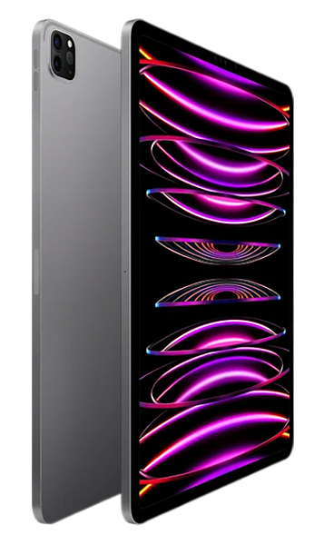 Apple iPad Pro 12.9 (2022) 256Gb Wi-Fi Space Gray (Космический серый) (Global)