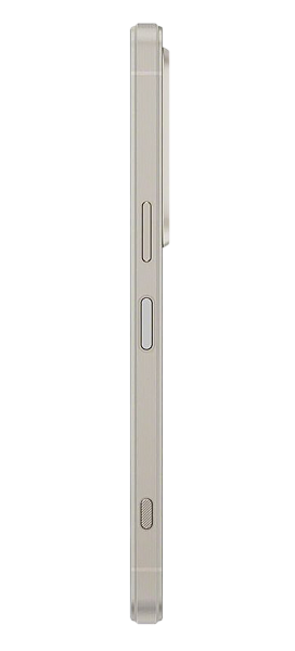 Sony Xperia 1 VI 12/256Gb Platinum Silver (Global) 2Sim