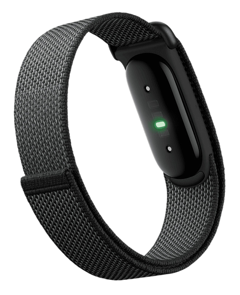 Фитнес-браслет Google Fitbit Air Obsidian