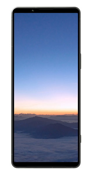 Sony Xperia 1 V 12/256Gb Khaki Green (Global) 2Sim