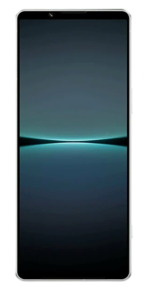 Sony Xperia 1 IV 12/256Gb Ice White (Белый) (Global) 2Sim