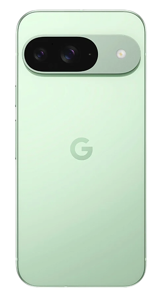 Google Pixel 9 12/256Gb Wintergreen (USA) Sim+eSim