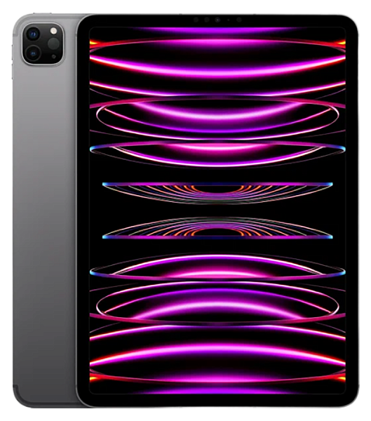 Apple iPad Pro 11 (2022) 512Gb Wi-Fi Space Grey (Космический серый) (Global)