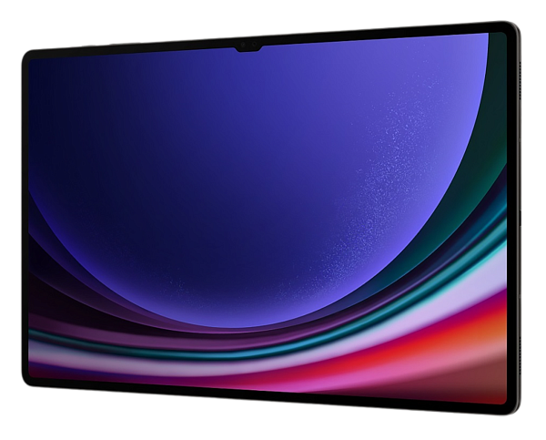 Samsung Galaxy Tab S9 Ultra (2023) 12/256Gb Wi-Fi Graphite (Графит)